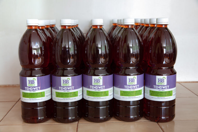 Community Engagement and Traditional Medicine