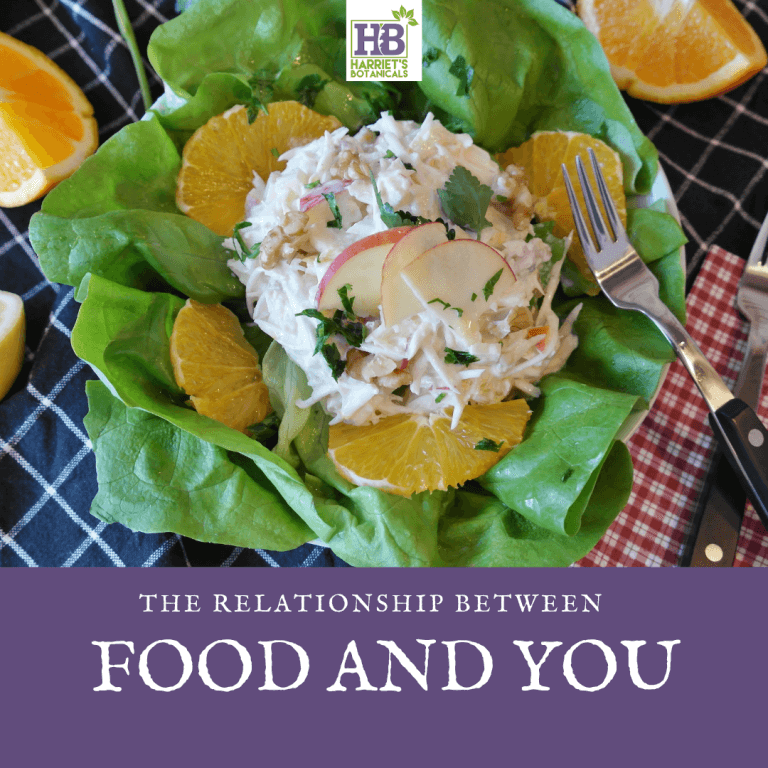 What is Your Relationship With Food?