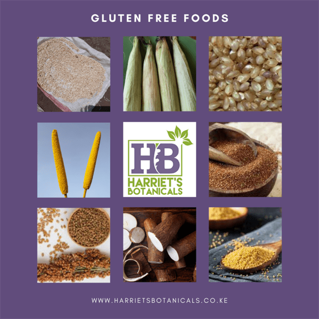 A Gluten Free Guide