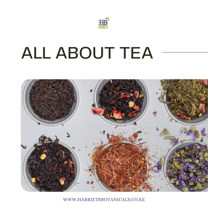 More Tea? Yes Please!